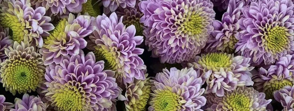 Посмотрим и на отдел Срезанных цветов!